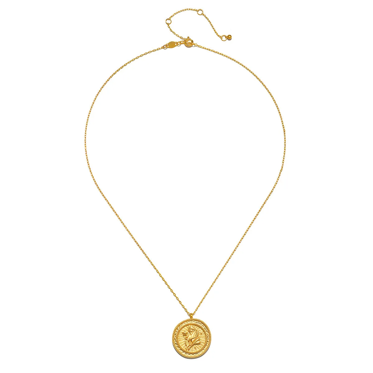 Aquarius Gold Zodiac Coin Necklace