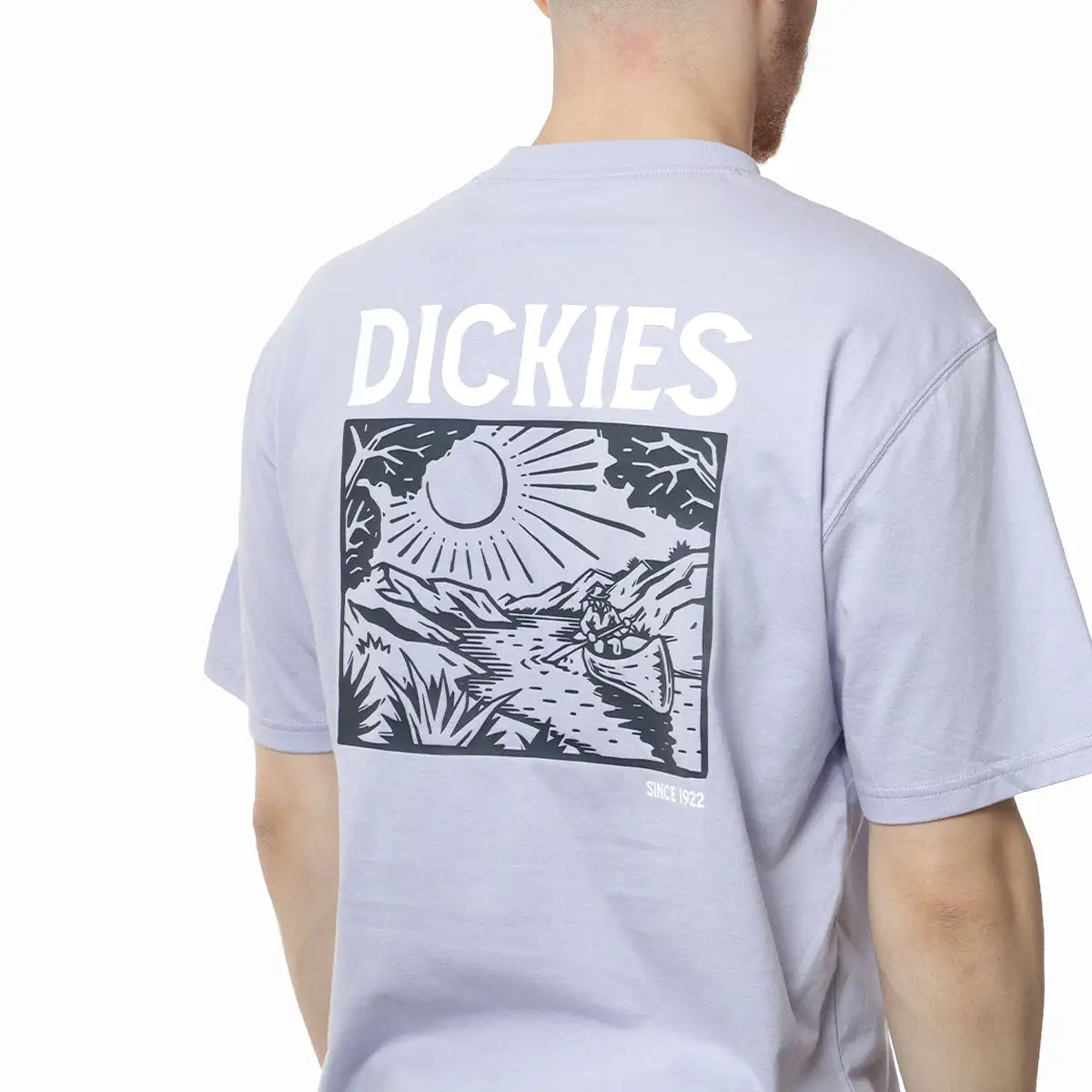 Dickies Patrick Springs T-Shirt