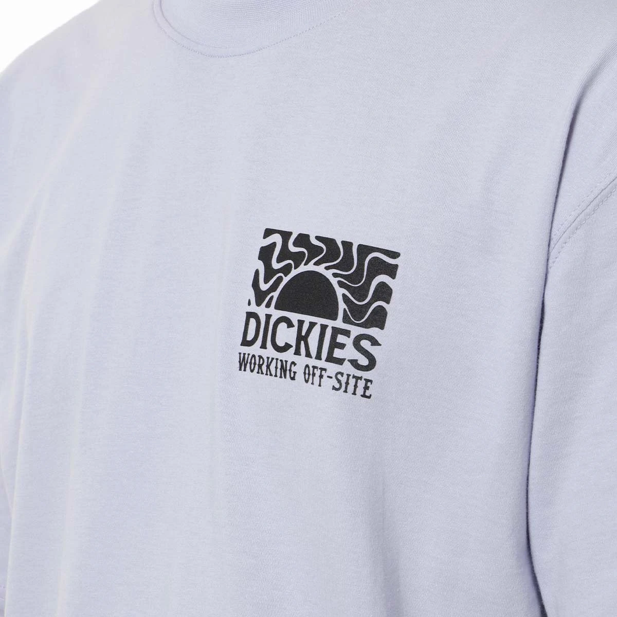 Dickies Saltville T-Shirt