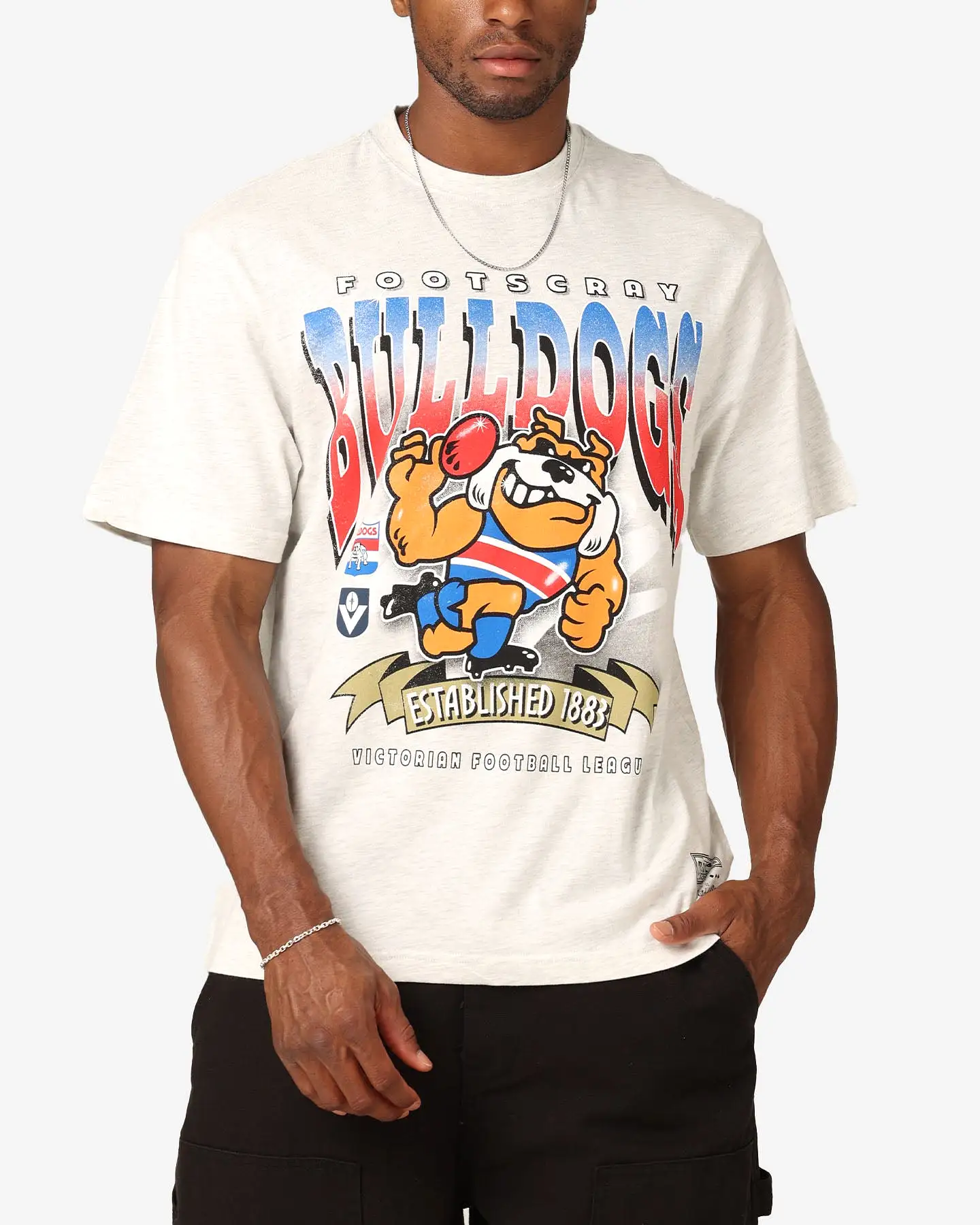 Mitchell & Ness Footscray Bulldogs Character T-Shirt Silver Marle