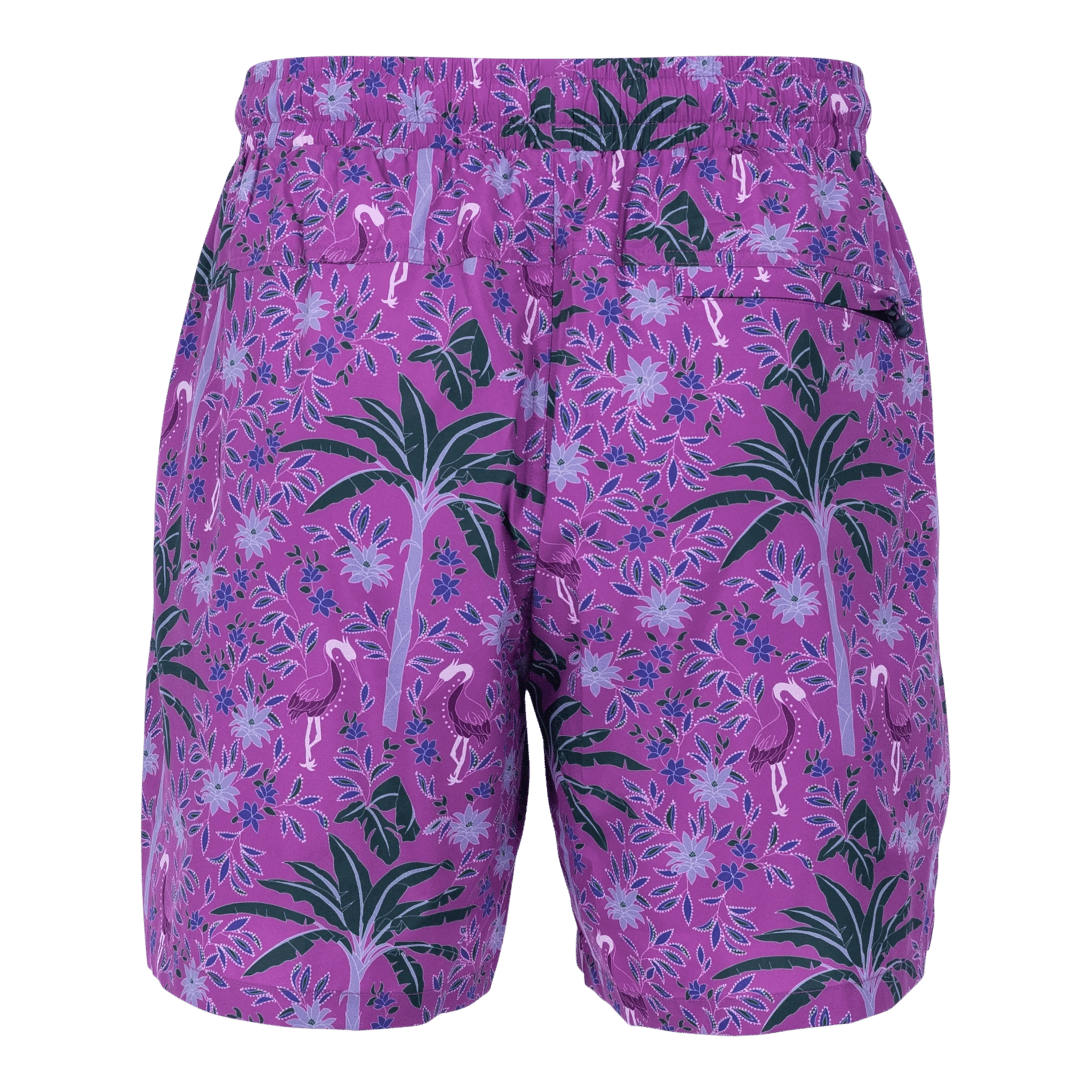 Palma Torch Swim Short